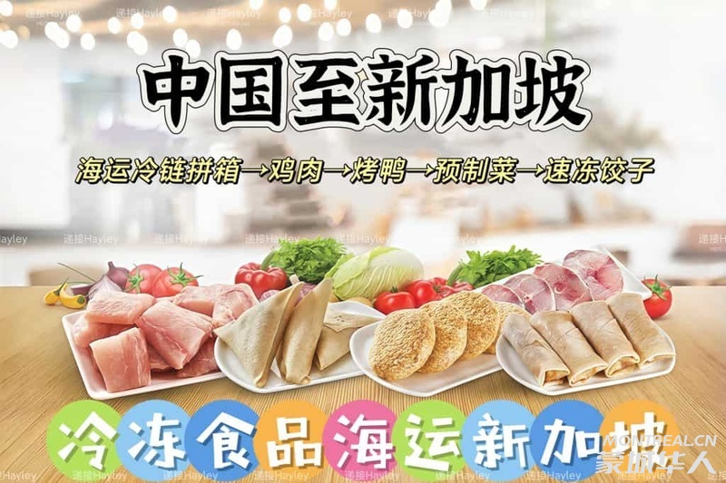 新加坡冷链运输-冷冻食品肉类海鲜拼箱海运到新加坡