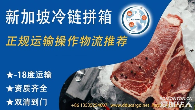 鸡肉/鸭肉/鹅肉/鱼肉/牛肉新鲜带回家--新加坡海运冷链拼箱双清