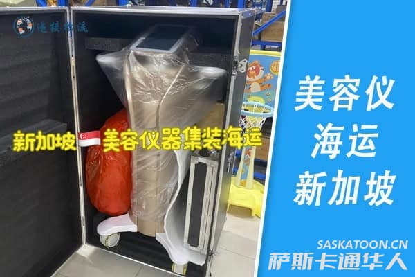 美容仪，经络仪，脱毛仪海运新加坡—海运散货拼箱门到门服务