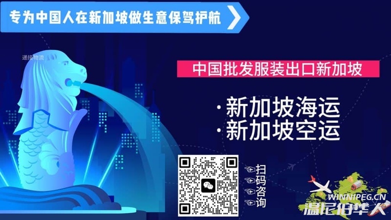 在中国批发的服装如何运到新加坡，需要提供什么资料？